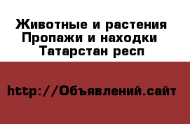 Животные и растения Пропажи и находки. Татарстан респ.